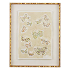Butterflies 019