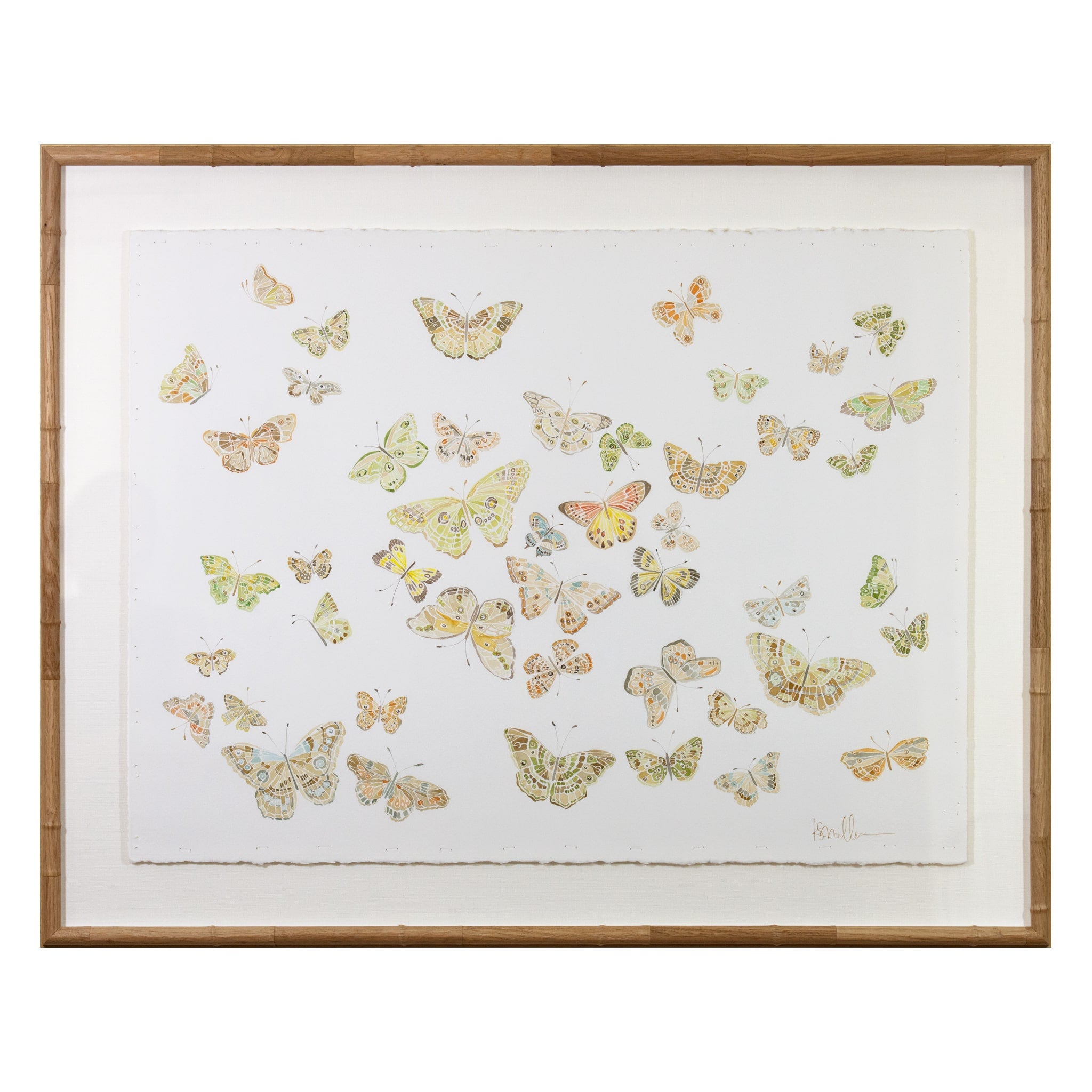 Butterflies 01