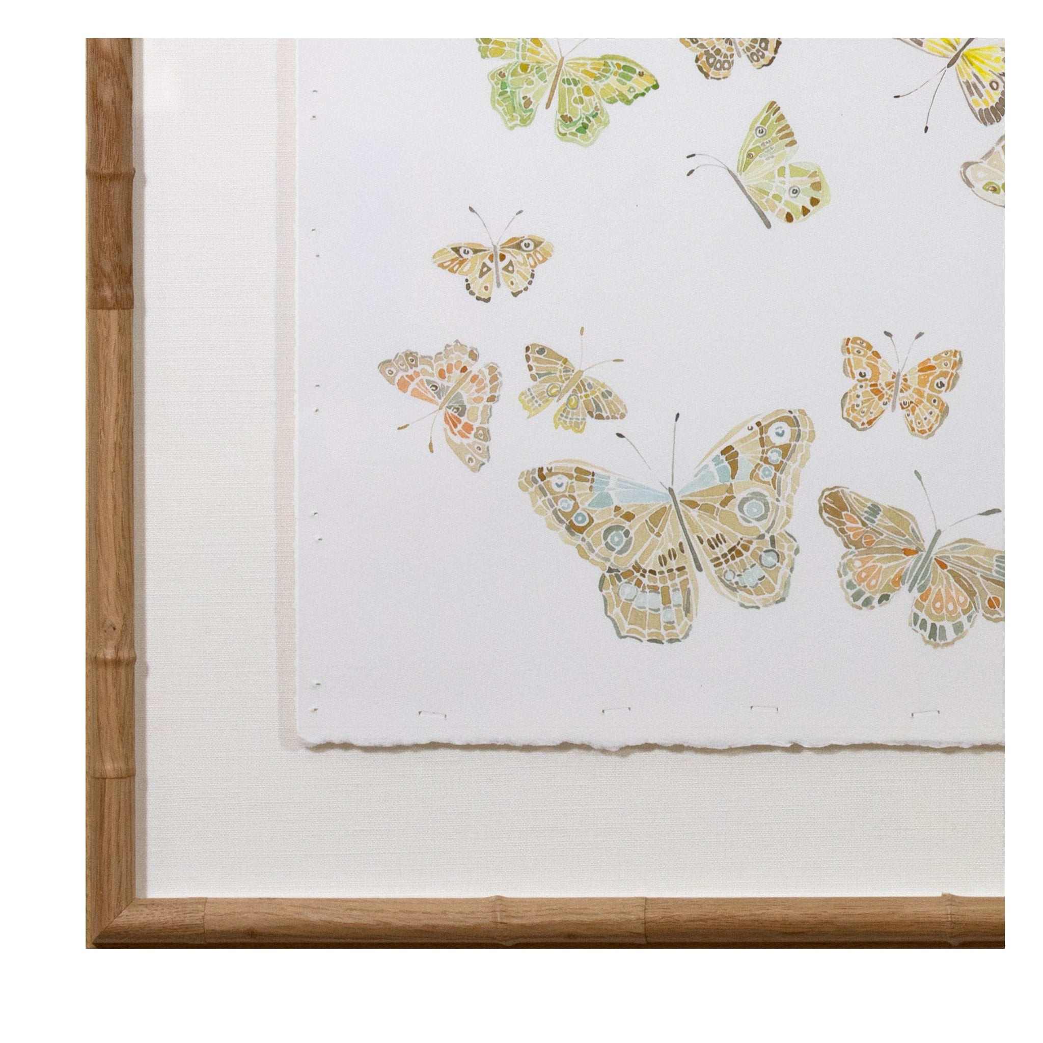 Butterflies 01