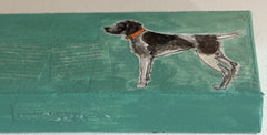 German Shorthair