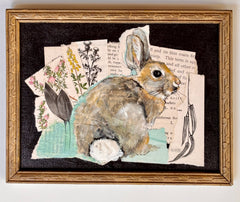 Rabbit Life