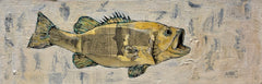 The Catch