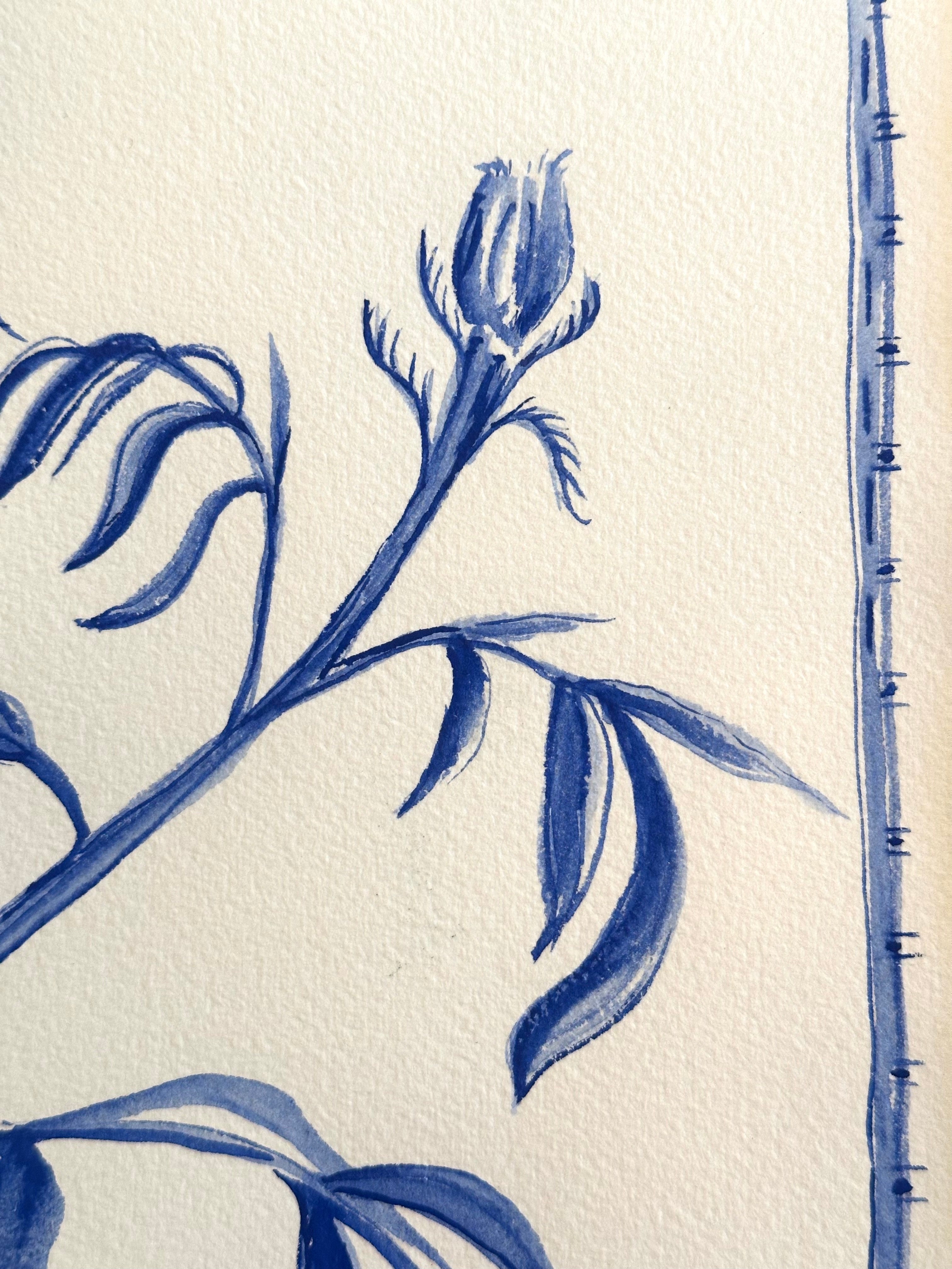 Blue Marigold