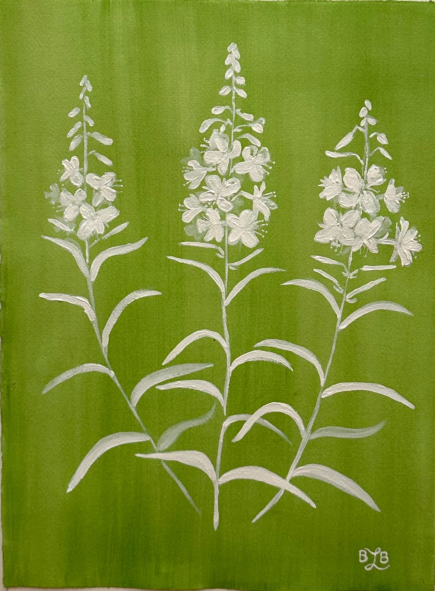 Fireweed Fandango