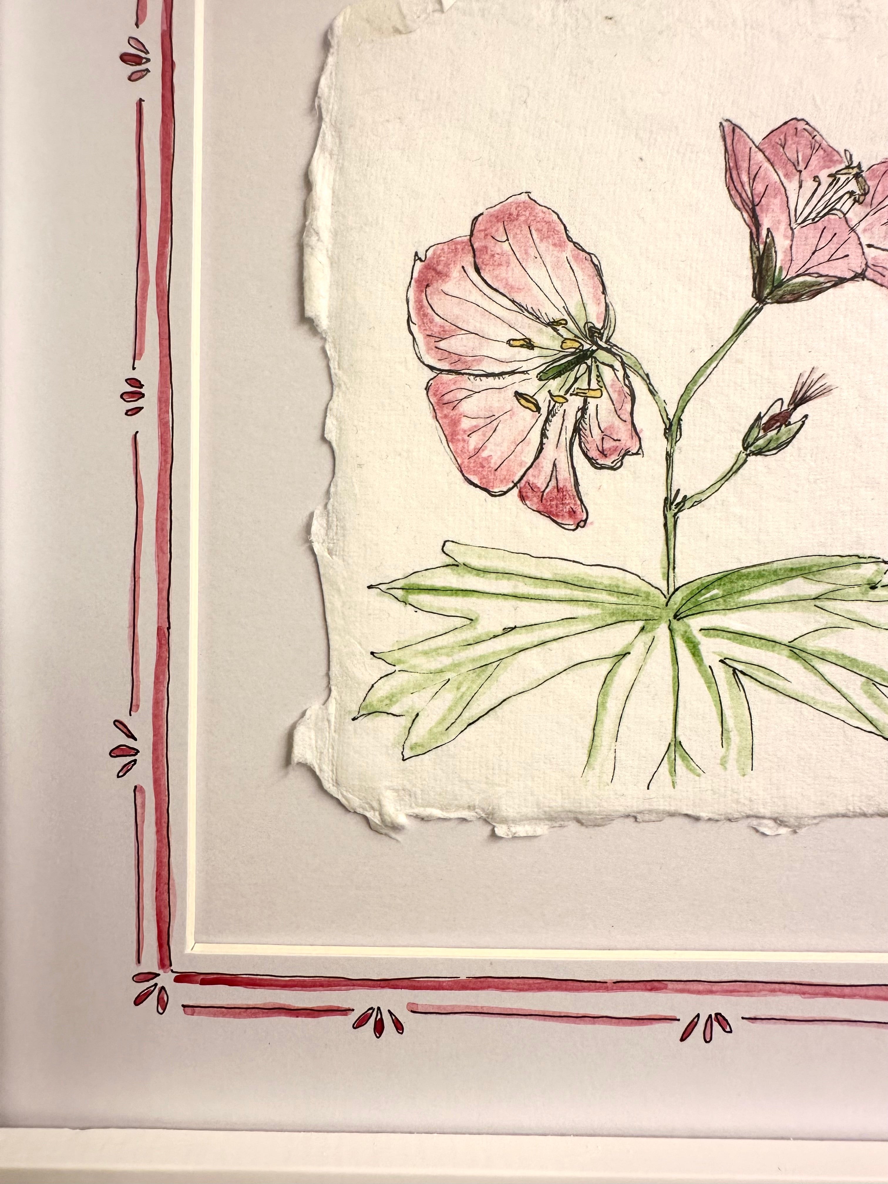 Wild Geranium