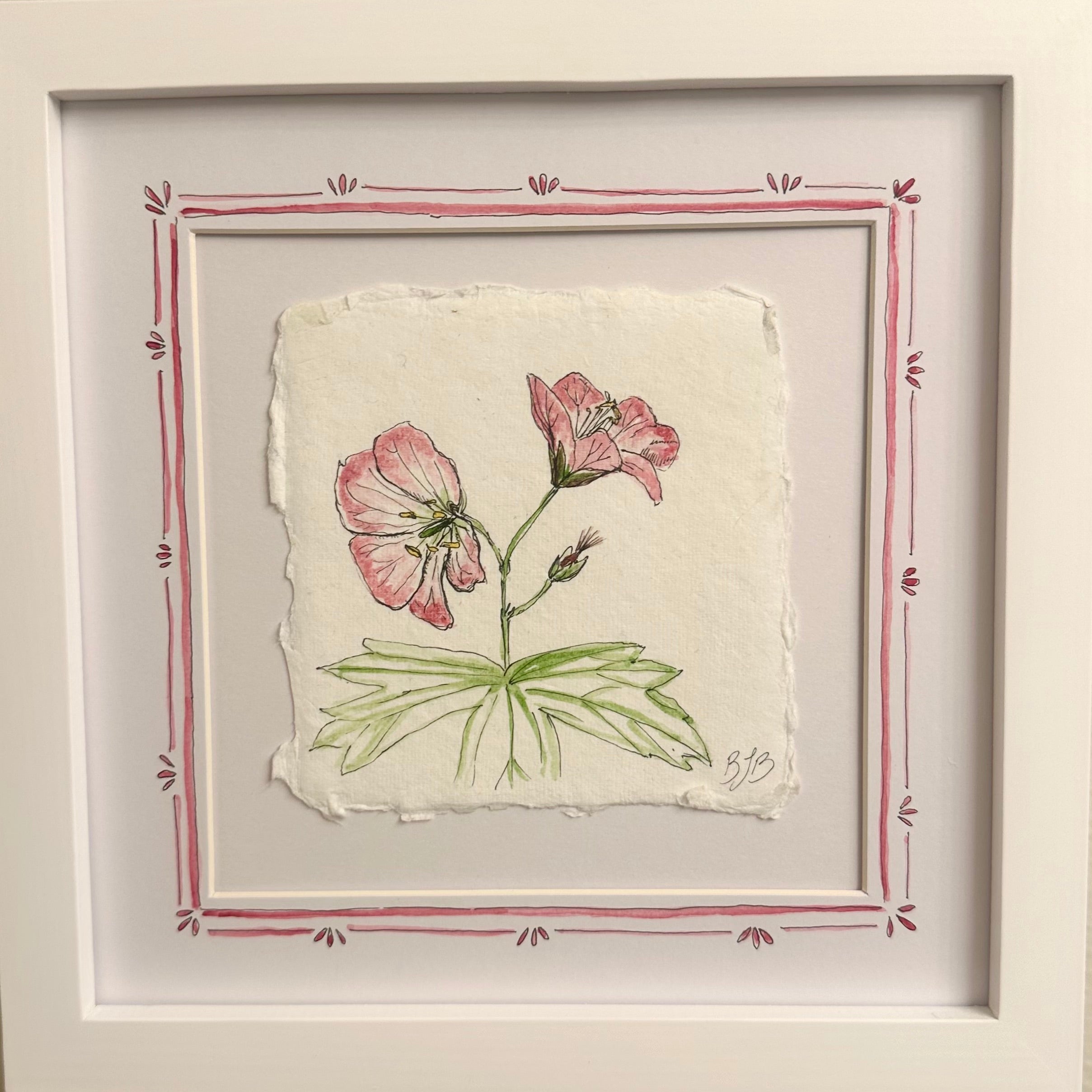 Wild Geranium