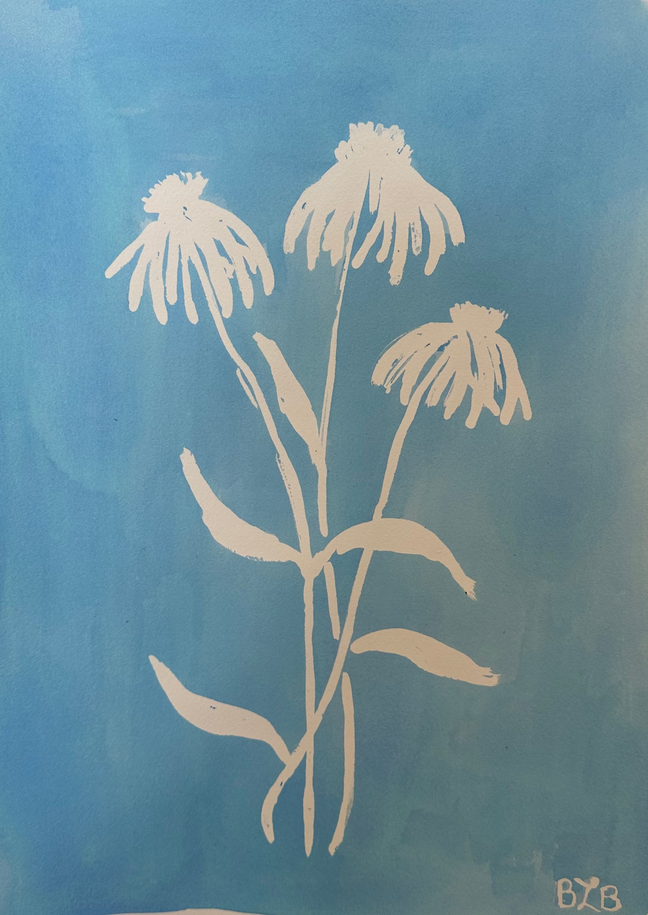 Coneflower
