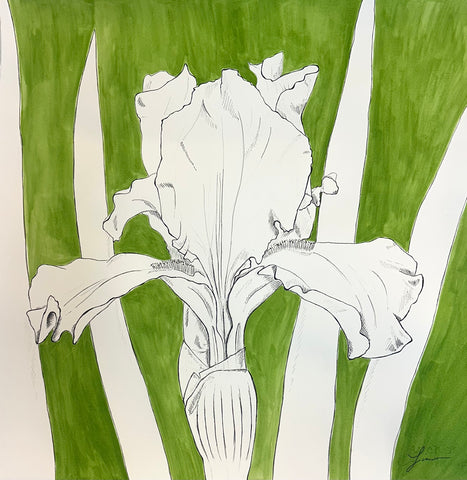 Opal Orchid