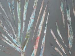 Shadow Palms