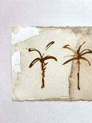 Palms on Coffee IV