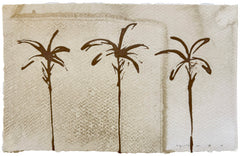 Palms on Coffee V