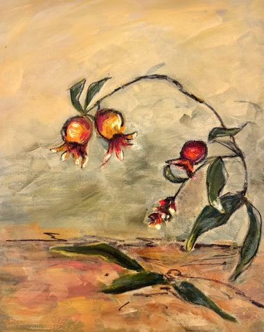 Punica