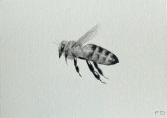 Bee II