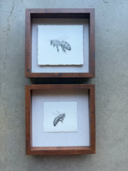 Little Bee 2