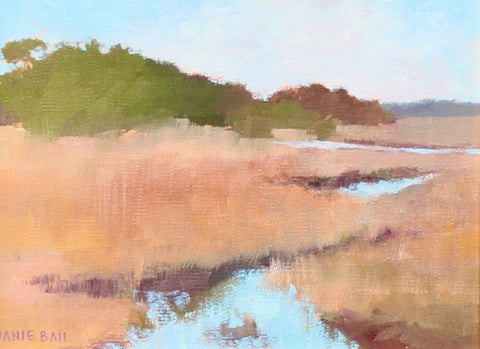 Spartina Grass