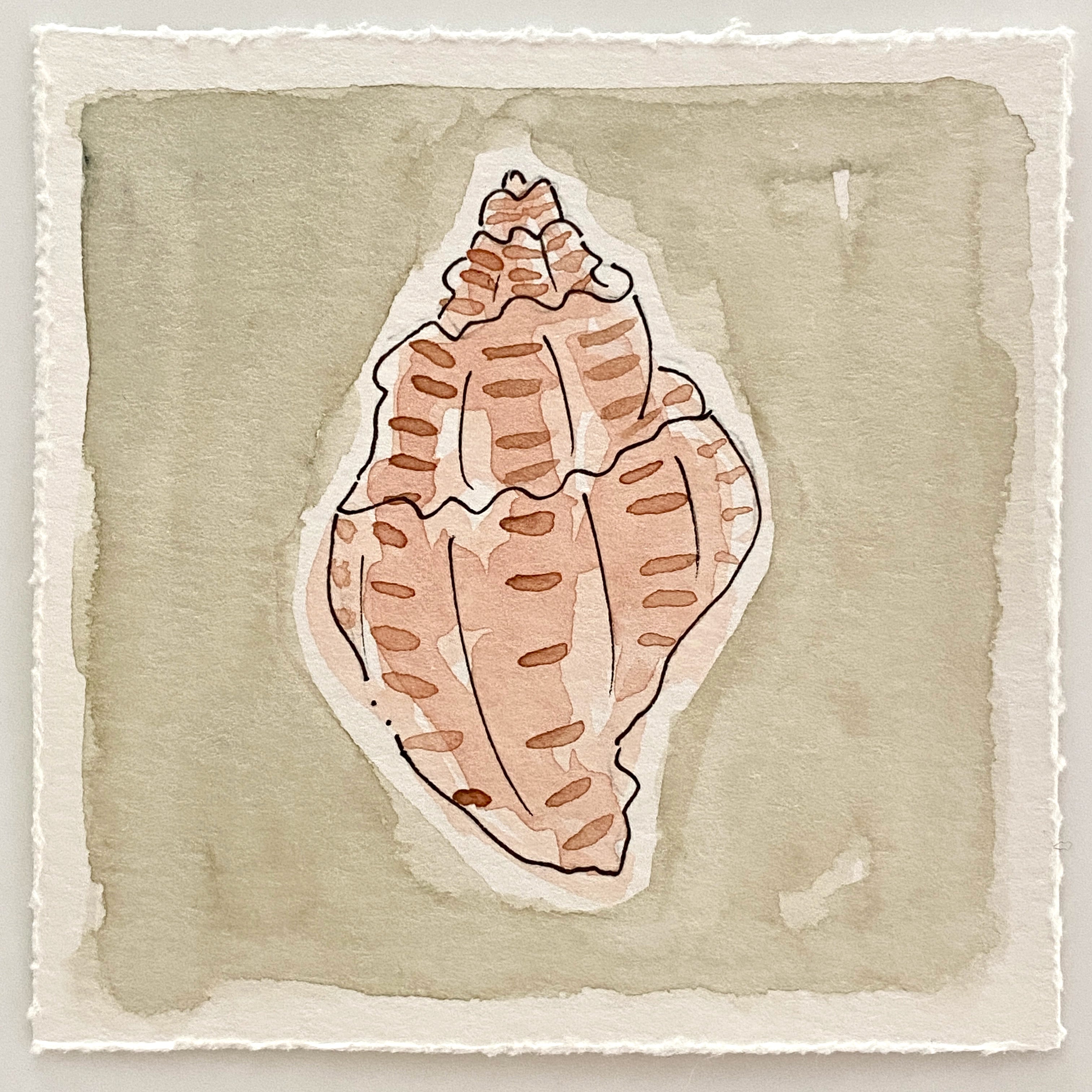 Mini Shell No. 13