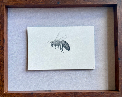 Bee 1