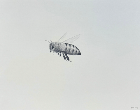 Bee 5