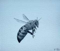 Little Bee 2