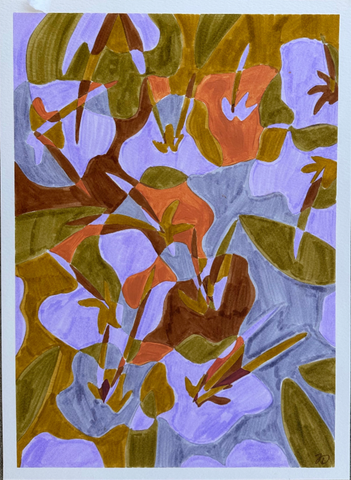 Pansies Study