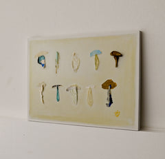Sky Blue Shrooms