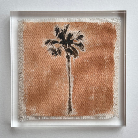 Original Hurricane Palm 13