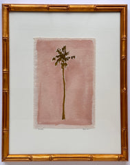 Original Hurricane Palm XL 5