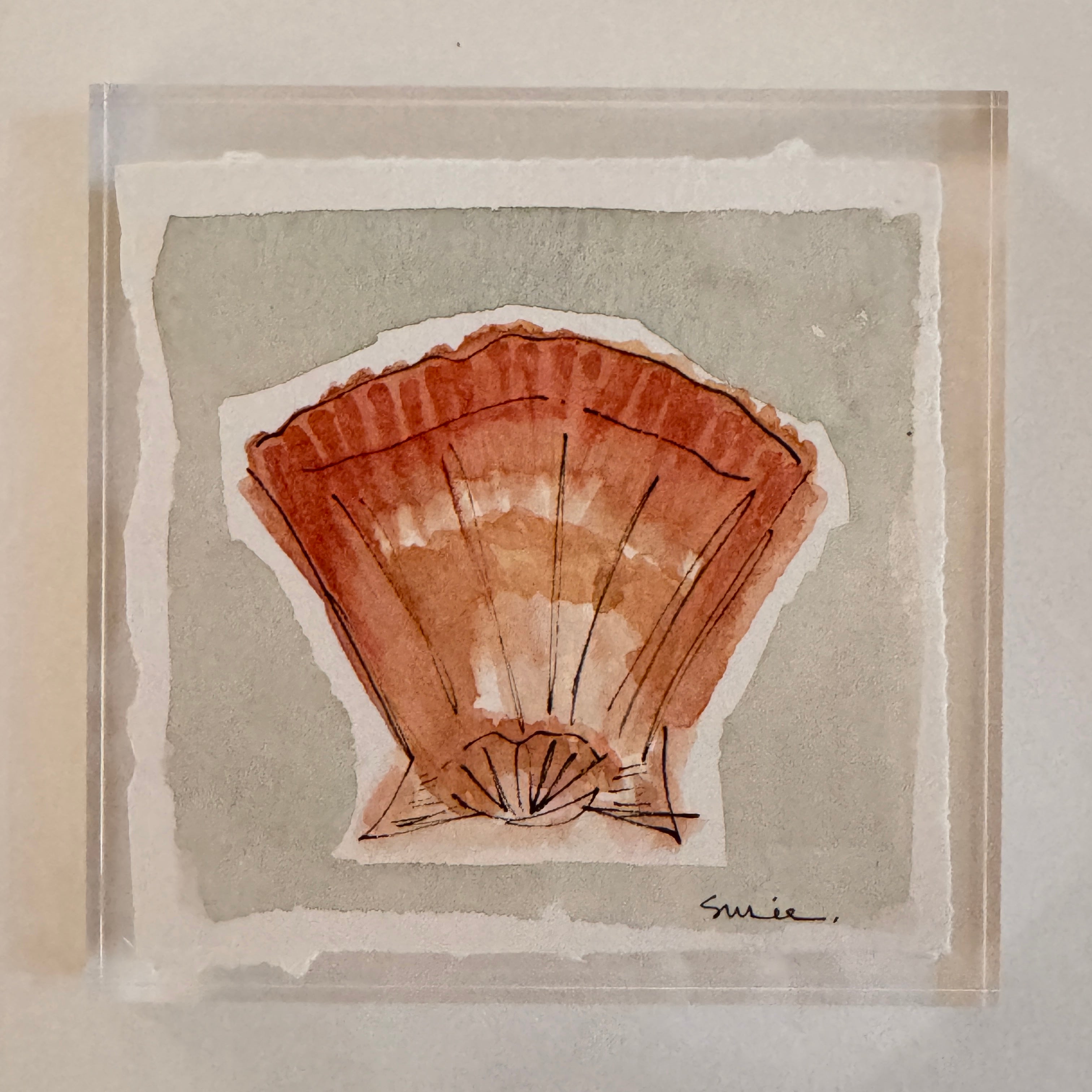 Original Seashell 1