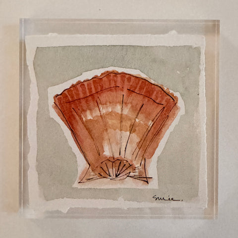 Original Seashell 1