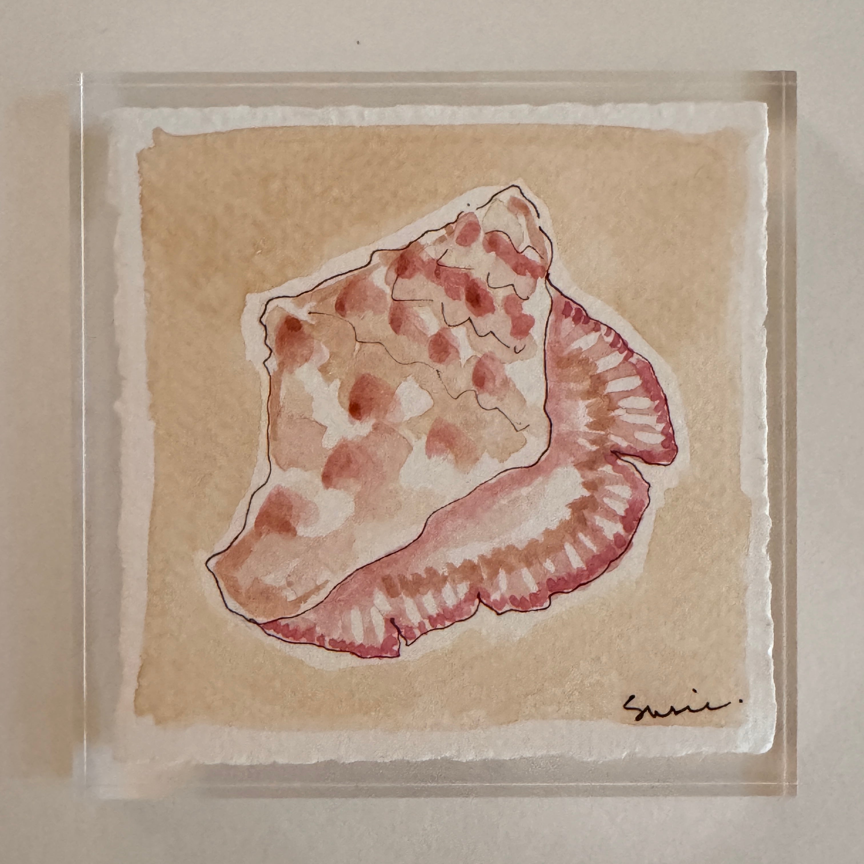 Original Seashell 5