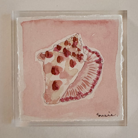 Original Seashell 7