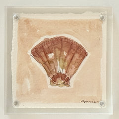 Original Susie Shell No. 20