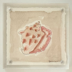 Original Susie Shell No. 21