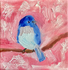 Bluebird in Pink