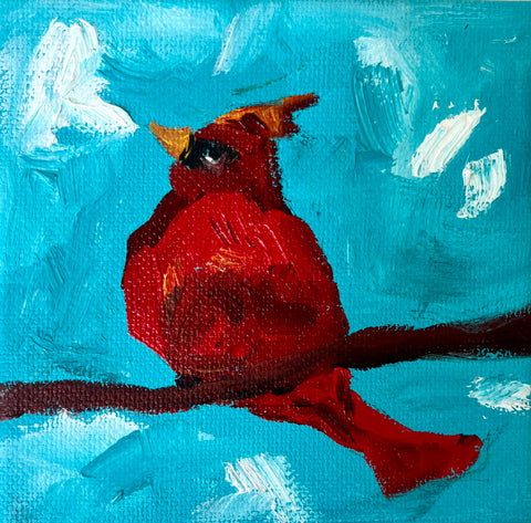 Cardinal Sighting