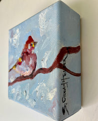 House Finch in Blue