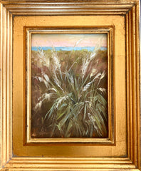 Island Grasses