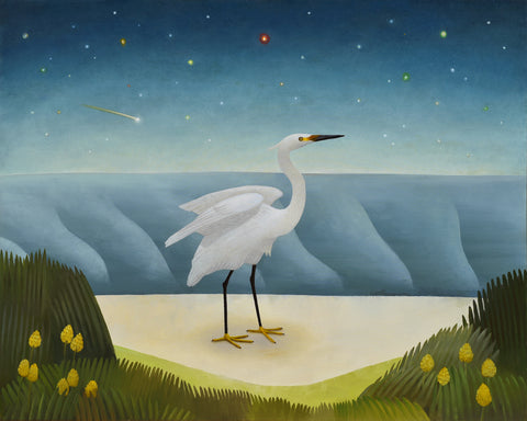 Shooting Star