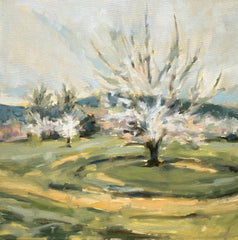 Orchard in Spring I