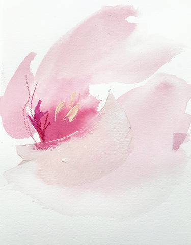 French Tulip 2