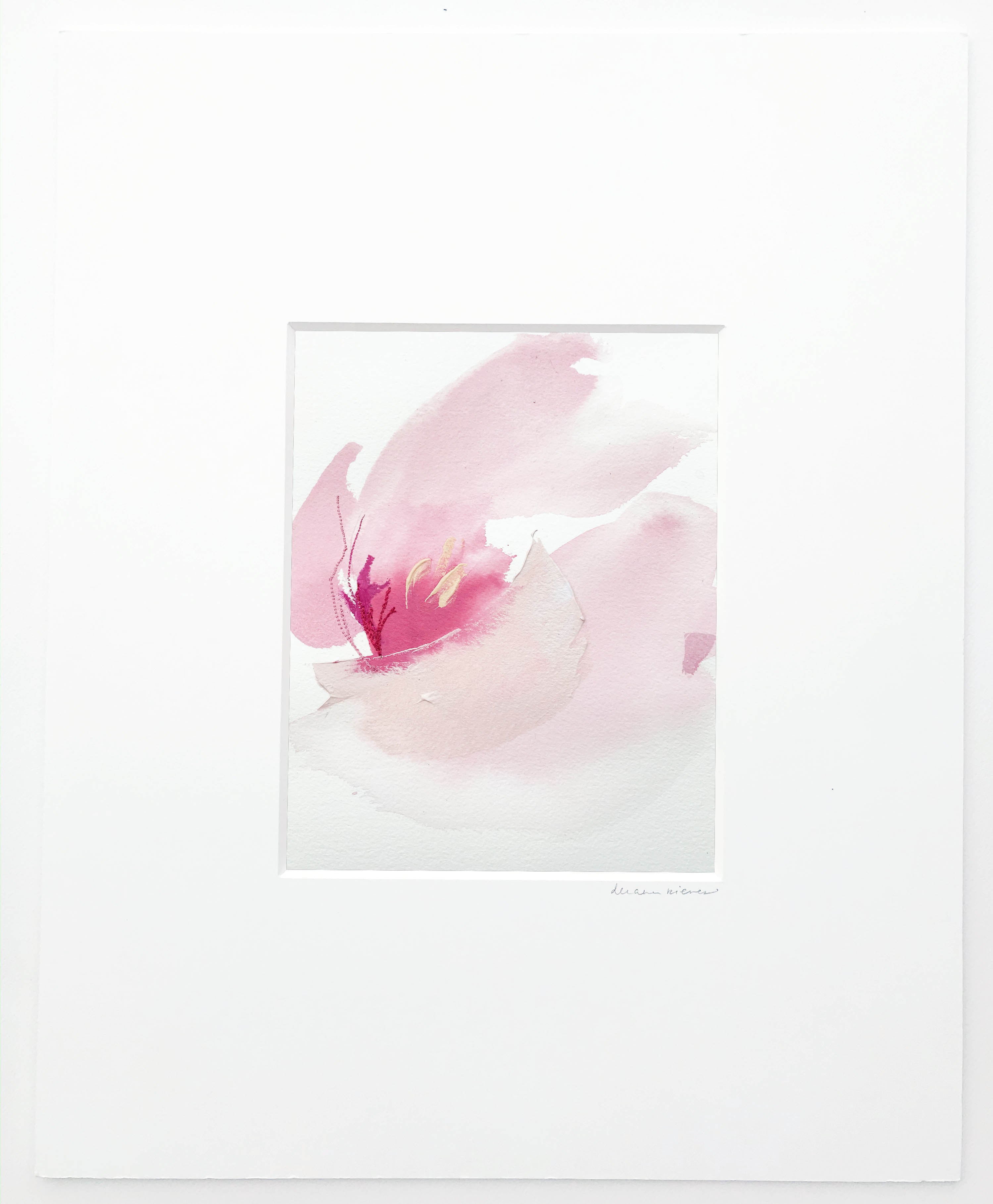 French Tulip 2