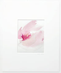 French Tulip 2