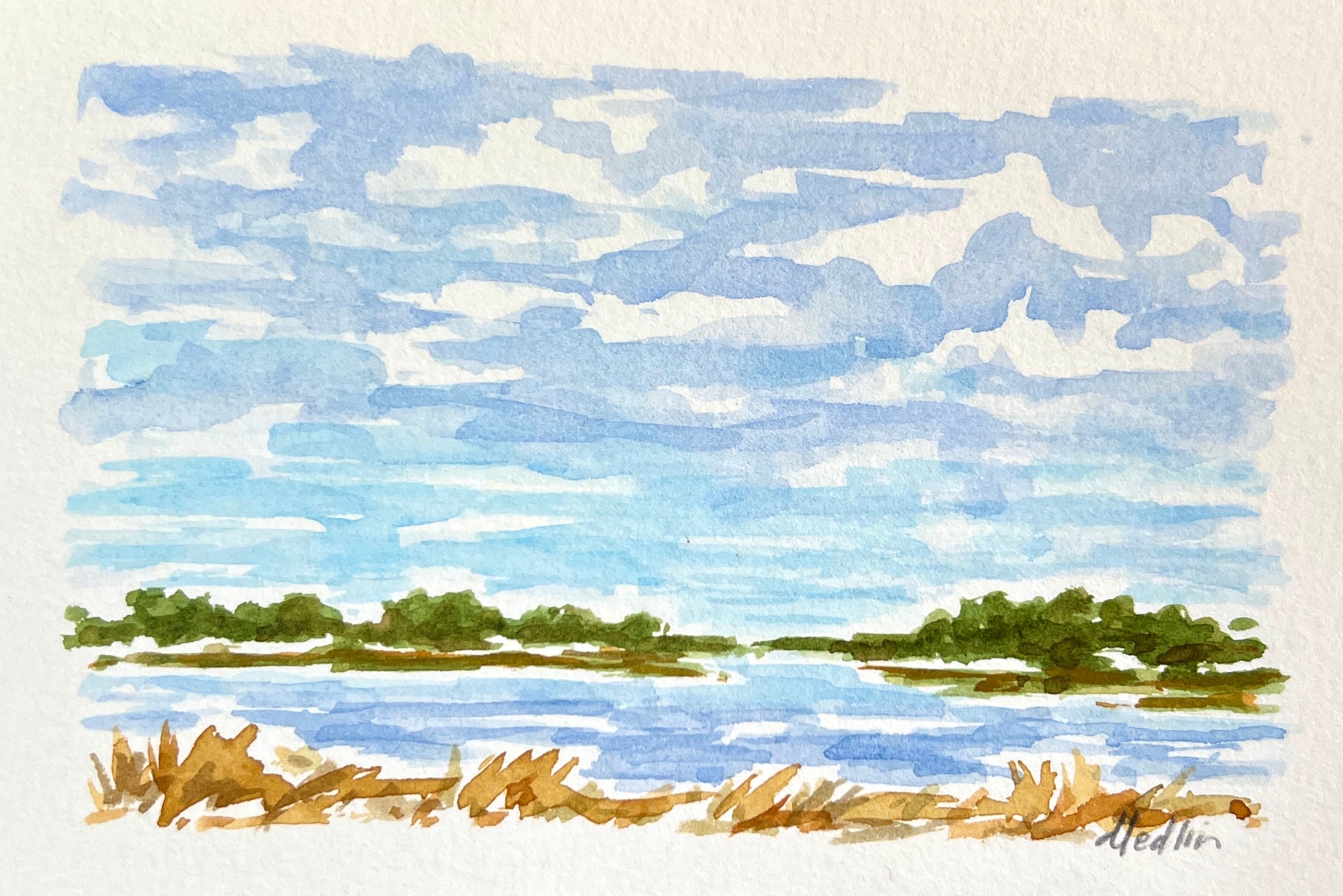 High Tide VII