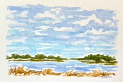 High Tide VII
