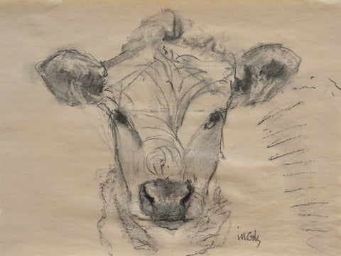 Cow Study I