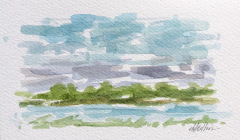 Lowcountry VIII