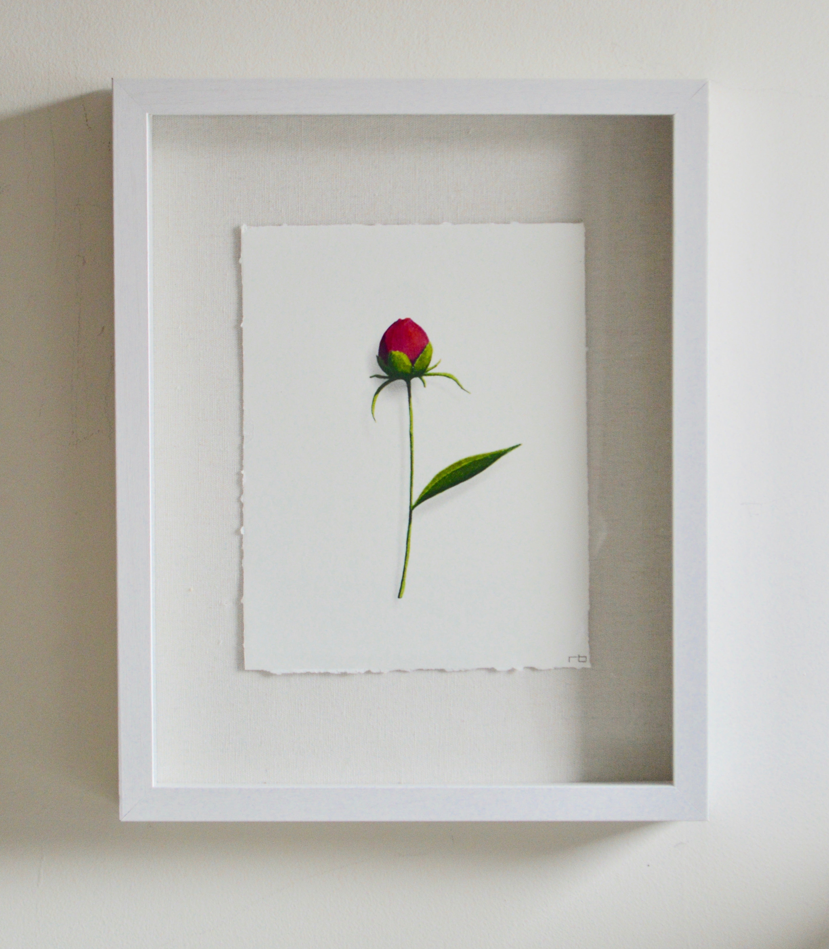 Rose Bud