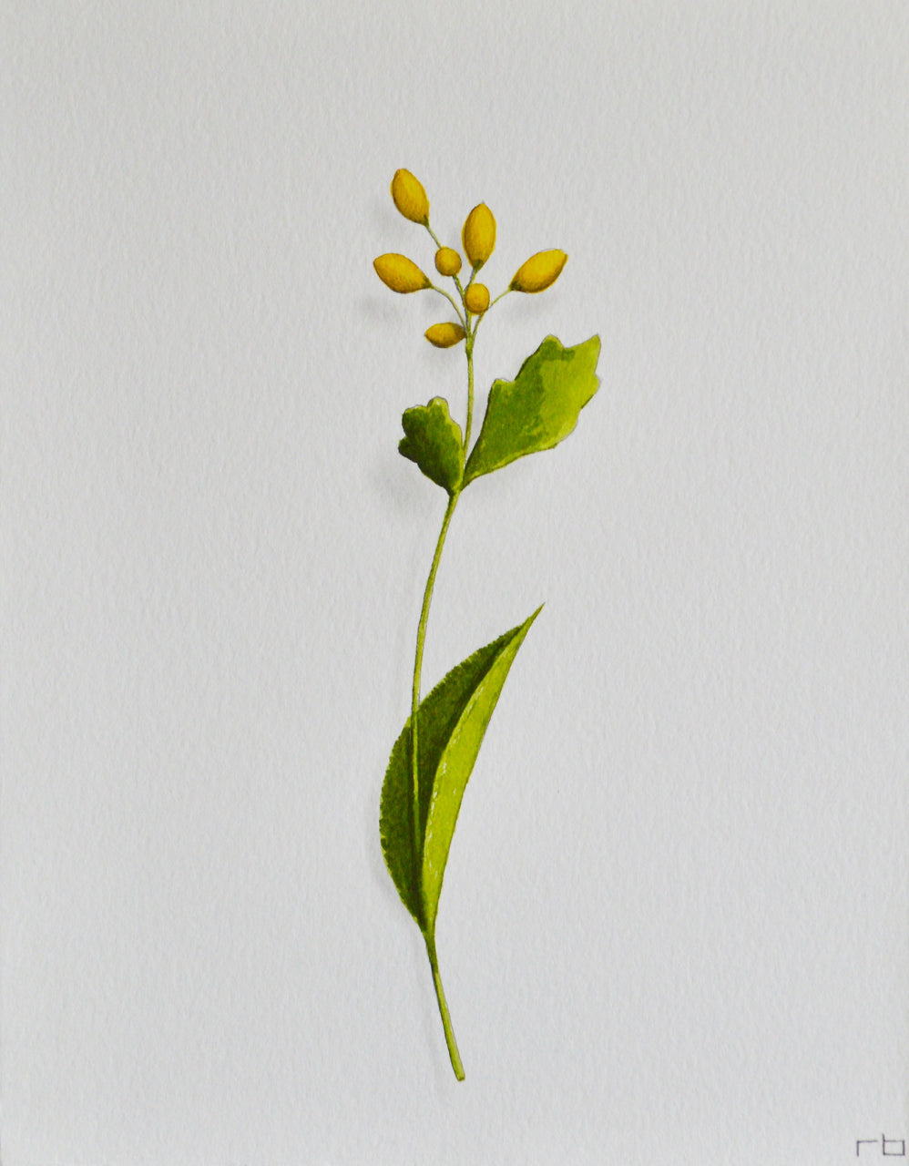 Yellow Flower 2