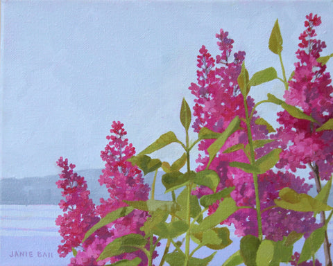 Summer Lilacs