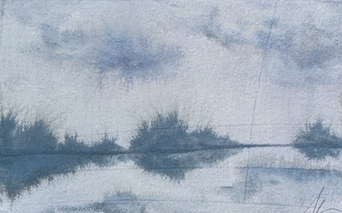 Shadows on the Marsh